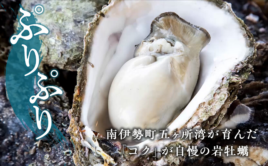 （冷蔵）岩牡蠣　Aコース　XLサイズ　４個／シェルファームみつなが　かき　伊勢志摩　お取り寄せグルメ　三重県　南伊勢町