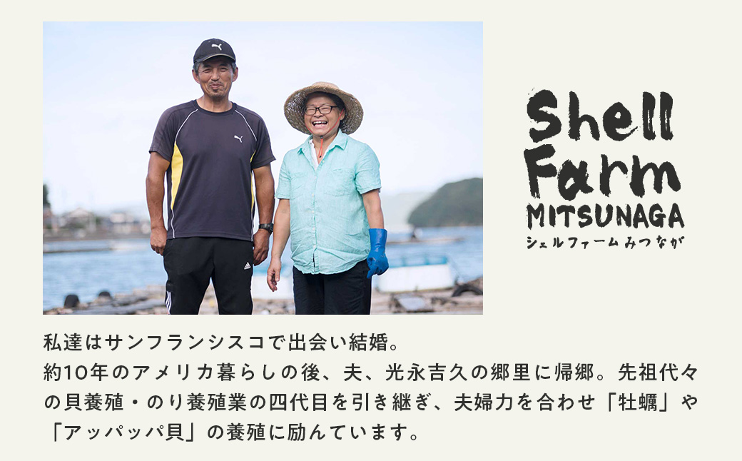 （冷蔵） 牡蠣 アッパ貝 セット 海コース かき 盛 ×1 牡蠣 S ×30個 アッパ 貝 ×10個 加熱用 濃厚 新鮮 シェルファームみつなが セル牡蠣 ヒオウギ 真牡蠣 養殖 鍋 カキフライ BBQ 伊勢志摩 三重 南伊勢町
