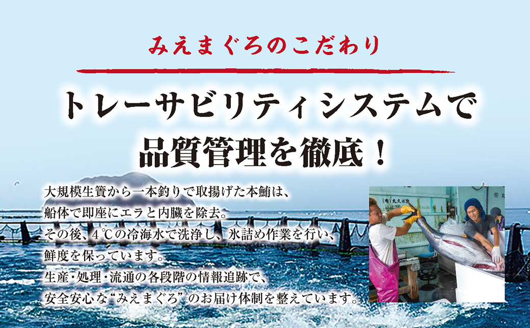マグロ 詰め合わせ 900g 本まぐろ 本鮪 刺身 刺し身 マグロ丼 海鮮丼 大トロ 中トロ トロ 赤身 国産 養殖 みえまぐろ 三重 南伊勢町 伊勢 志摩