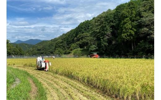 「道行竈のお米」R5年度産　コシヒカリ　3kg／平家の子孫が住む自然豊かな竈方集落　伊勢志摩　三重　南伊勢