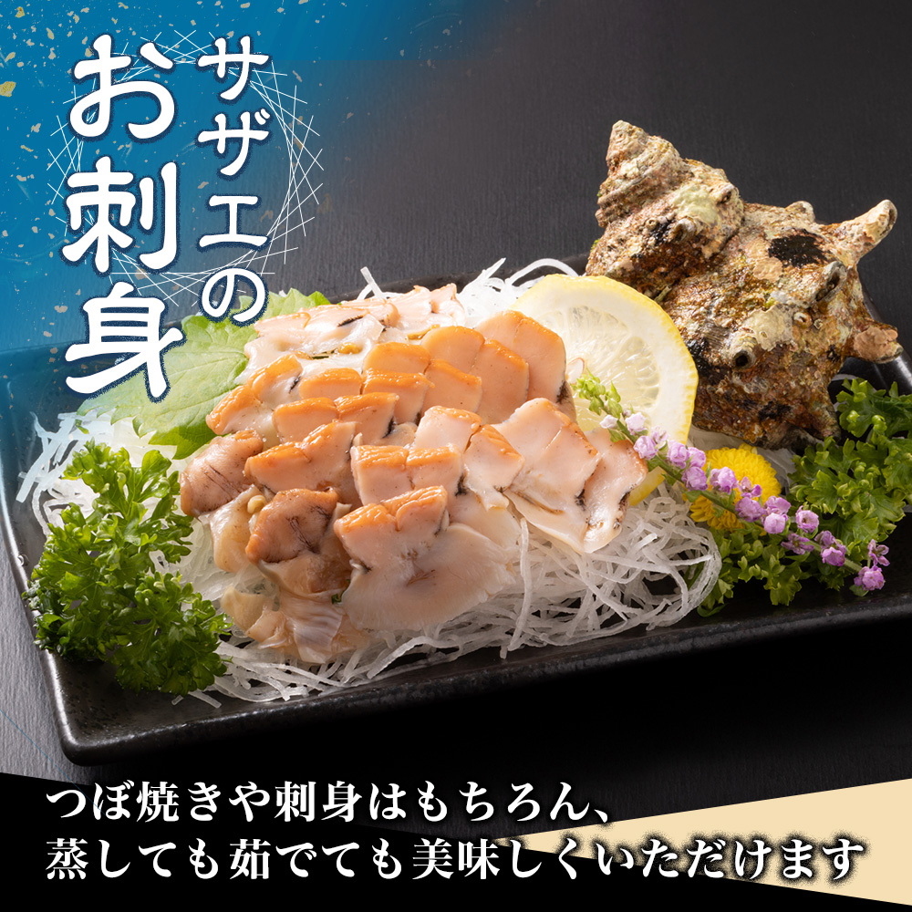 （冷蔵）活きサザエBコース　約2kg（16〜24ヶ入り）山金商店／　貝　さざえ　海鮮　新鮮　伊勢志摩