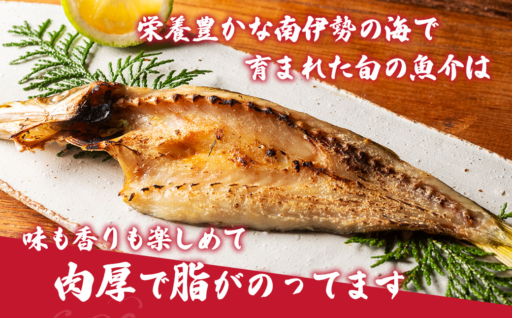 【冷蔵】久屋のひもの6種類　おつまみセット／干物　みりん干し　特産　海の幸　旬　海鮮　旨味　伊勢志摩