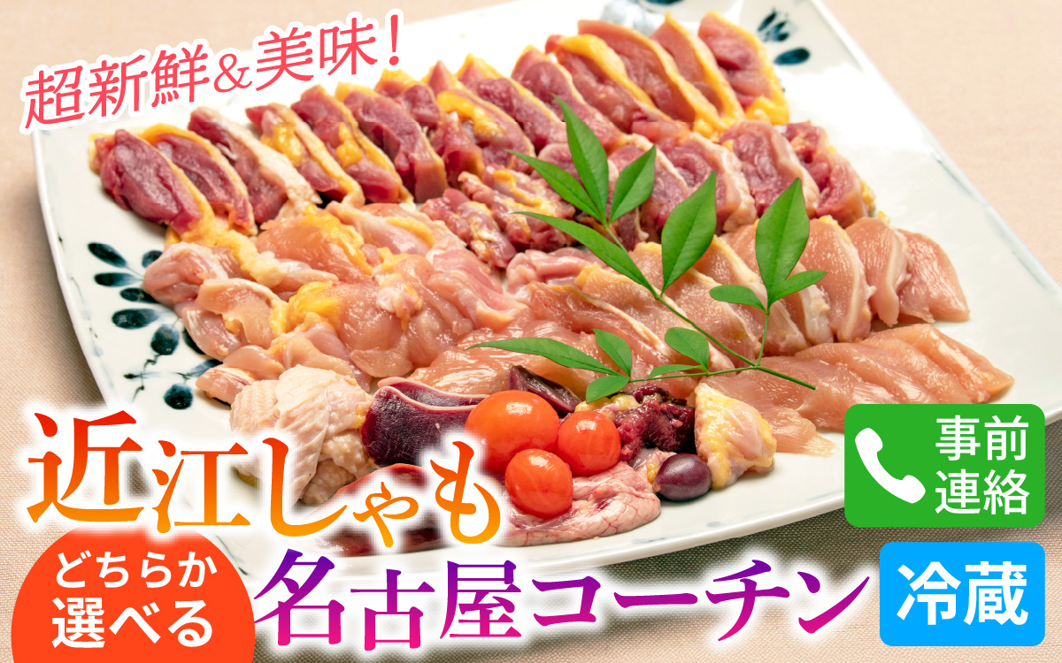 【G005】超新鮮＆美味！大津市で飼育した近江しゃもor名古屋コーチン！