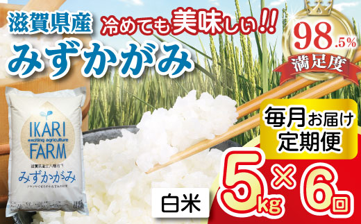 【7年産】みずかがみ　白米定期便　６か月で５kgを６回お届け（１か月に1回）【C036W】