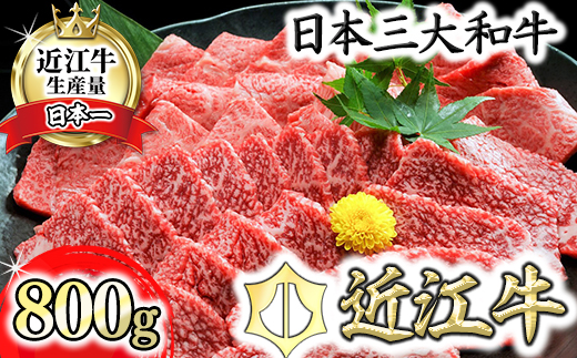 近江牛A5ランク焼肉美味セット【800g】【DG10W】