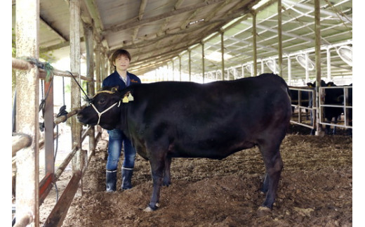 生産牧場指定　料亭こだわりの近江牛　サーロインステーキ【200g×3枚】【DM01W1】