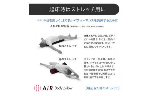 エアーボディーピロー(抱き枕)レギュラータイプ【P253W】