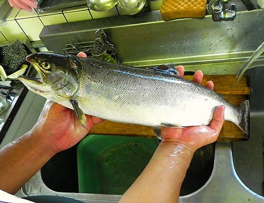 びわます棒寿し【630g】【DH01W】