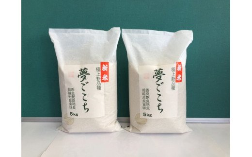 【新米】【7年産】近江米夢ごこち【5kg×2袋】【T035W2】