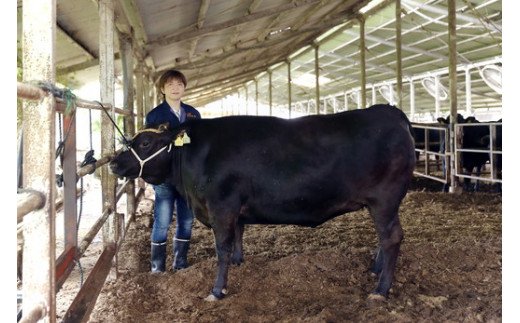 生産牧場指定　料亭こだわりの近江牛A4等級以上　焼肉用　【600ｇ】【DM04W1】