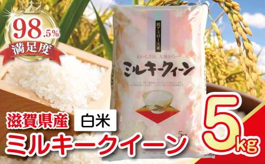 【7年産】近江米ミルキークイーン【5kg×1袋】【T029W2】