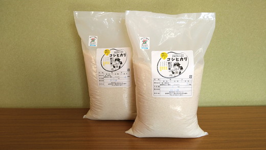 【7年産】強い粘りと旨味！お米の王様「コシヒカリ」　白米　10kg（5kg×2）【C030W】