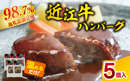 【総本家肉のあさの】近江牛ハンバーグ【600ｇ（120ｇ×5個）】【AE14W】