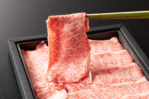 Art Beef Gallery『凱風快晴』近江牛A5ランクロース【500g】【E022W】