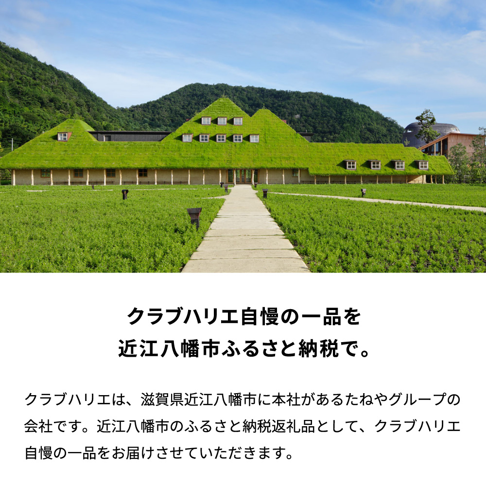 【クラブハリエ】バームクーヘンｍｉｎｉ　２７個入 個包装【FC05W】