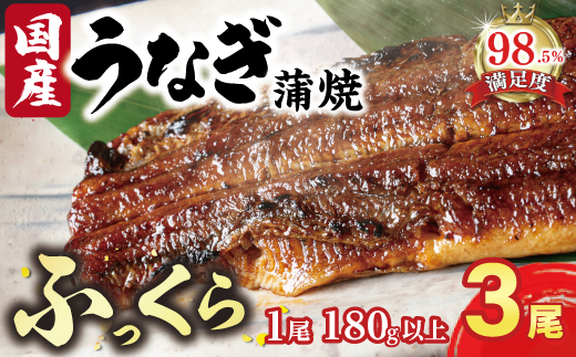 国産うなぎ　備長炭地焼き蒲焼き180g以上×3尾　タレ付き×3【FU03W】