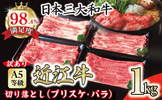 【訳あり】近江牛 A5 切り落とし スライス 食べ比べ ブリスケ＆バラ 1kg【FO01W】