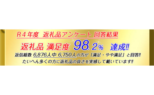 【総本家　肉のあさの】【ワークショップ】滋賀県産三元豚もも肉を使った生ハム手づくり体験（１本分）【AE18W】