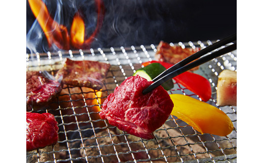 【定期便】A5等級特選近江牛おすすめ部位 焼肉3種（1kg×3回）【FO21W】