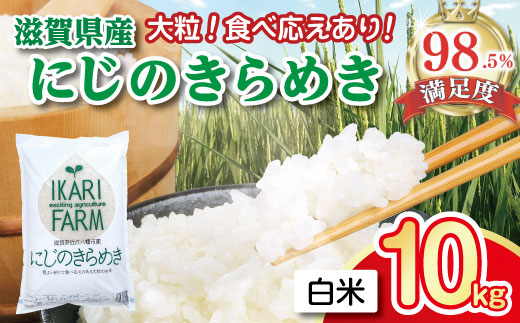 【新米】【7年産】にじのきらめき白米10kg（5kg×2袋）「大粒で食べ応えあり」【C060W】