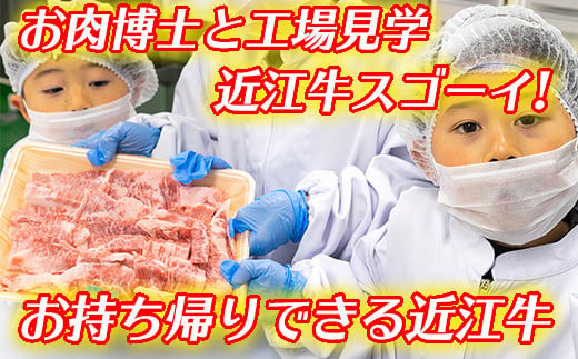 お肉博士と工場見学　近江牛スゴーイ！～お持ち帰りできる近江牛500g付～【CB13W】