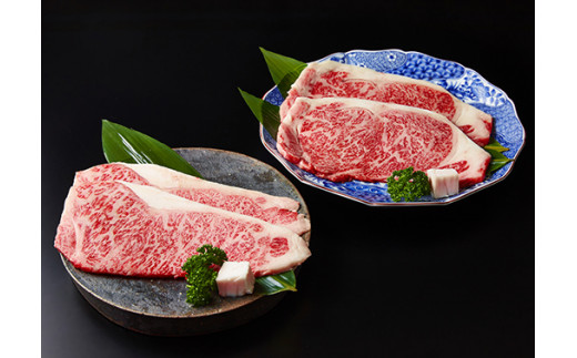 近江牛食べつくし定期便　６回　焼肉　すきしゃぶ　ステーキ【FO17W】