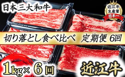 【定期便】全6回　A5 近江牛切り落とし食べ比べ 　250ｇ×4ｐ【FO27W】