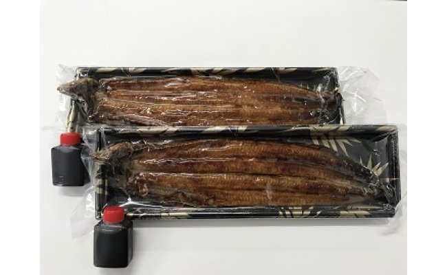 【一度食べたらやみつき！リピート多数 】うなぎ蒲焼２尾セット【D009W】