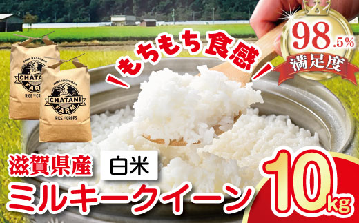 【7年産】近江米　ミルキークイーン 白米【10kg（5kg×2袋）】【V010W1】