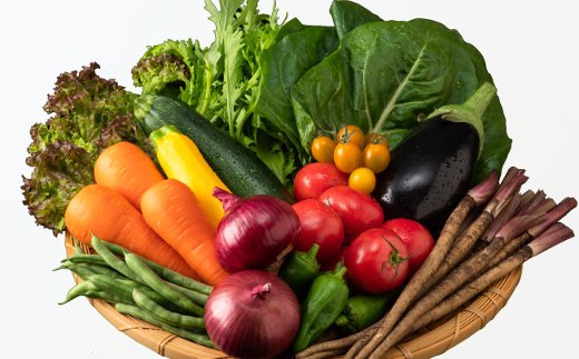 近江野菜詰め合せセット【1.5kg～2kg】【K002U】
