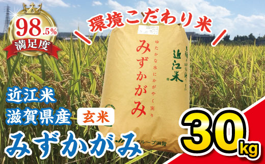【令和7年産】環境こだわり米「みずかがみ」玄米【30kg×1袋】【K073W】