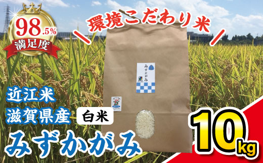 【令和7年産】環境こだわり米「みずかがみ」白米【10kg×1袋】【K074W】