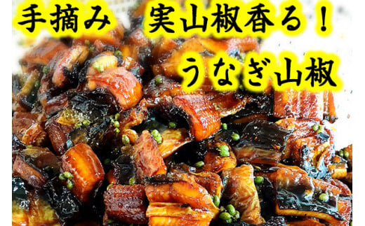 【滋賀県産　手摘み　実山椒香る！ 】うなぎ山椒　3個セット【D015W】