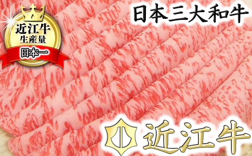 【年内発送】近江牛しゃぶしゃぶ用【450ｇ】【N005W】