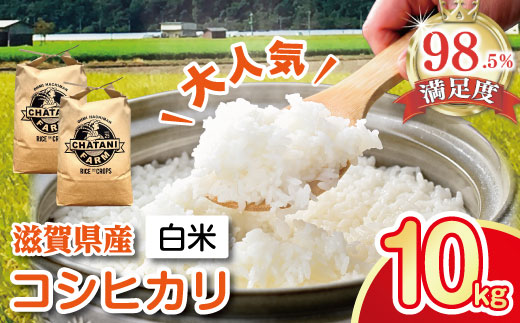 【7年産】近江米　コシヒカリ 白米【10kg（5kg×2袋）】【V012W1】