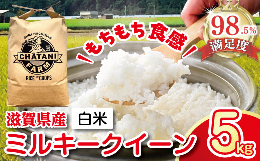 【7年産】近江米　ミルキークイーン 白米【5kg×1袋】【V009W1】