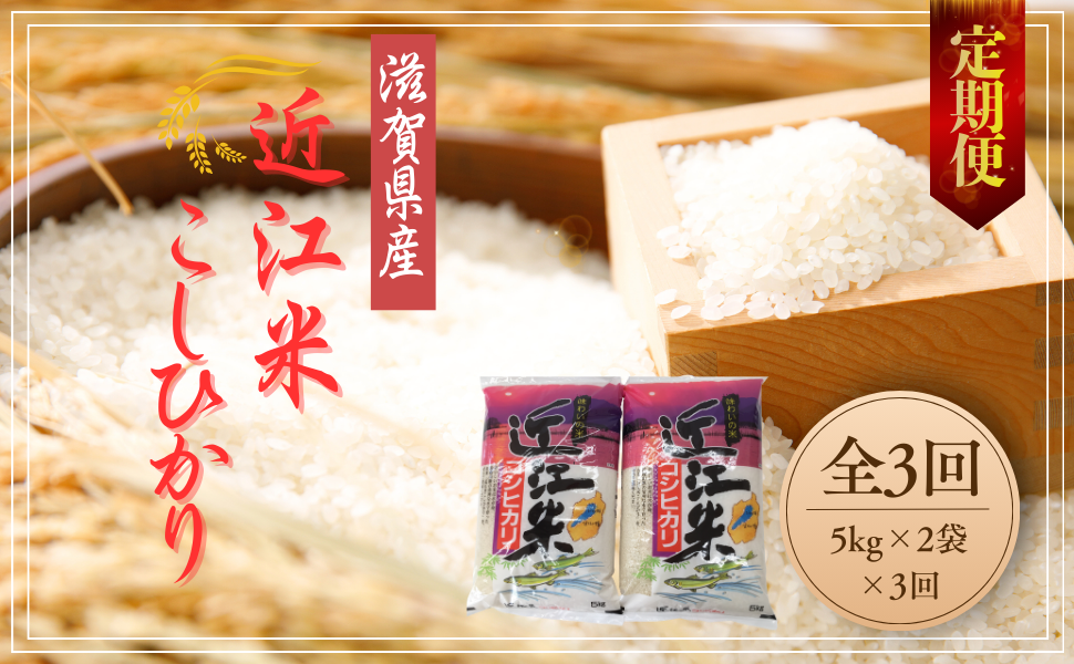 【3ヵ月定期便】【7年産】ふるさと定期便こしひかり10kg×3回コース【計30kg（5kg×2袋×3回）】【T033W1】