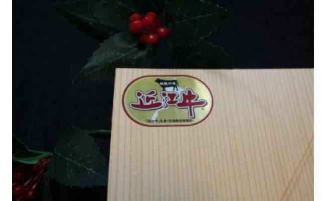 極上近江牛サーロインステーキ【600ｇ（200ｇ×3枚）】【AG01W】