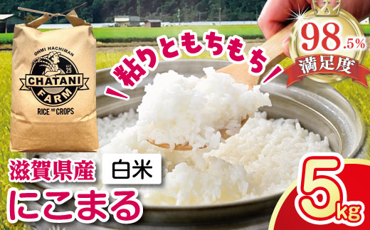 【7年産】近江米にこまる白米5kg【V017W1】