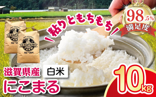 【7年産】近江米　にこまる白米【10kg【5kg×2袋）】【V018W1】