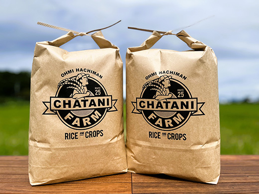 【7年産】近江米　にこまる白米【10kg【5kg×2袋）】【V018W1】