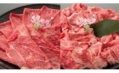 近江牛二種セット【1kg（赤身スライス500ｇ、切り落とし500ｇ）】【AC13W】