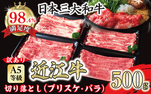 【訳あり】A5 近江牛切り落としスライス 食べ比べ ブリスケ＆バラ 500g【FO33W】