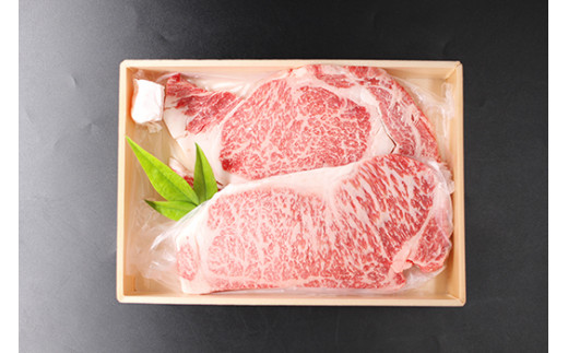 【5月発送分】極上近江牛ステーキセット【400g(200g×2枚)】【冷凍】【CB17W-5m】