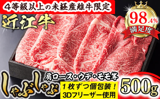【森三商会】4等級以上の未経産雌牛限定　近江牛上しゃぶしゃぶ500g（モモ・肩ロース・ウデ等）【GM08W】