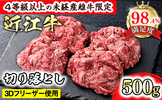 【森三商会】4等級以上の未経産雌牛限定　近江牛切り落とし500g（ロース・肩ロース・ウデ・モモ・バラ）【GM14W】