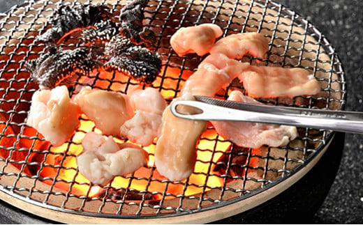 【カメチク】近江牛ホルモンおまかせ６種類【FK06W】