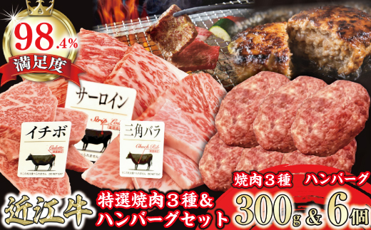 特撰近江牛おすすめ部位　焼肉3種300ｇ＆近江牛生ハンバーグ６個セット【FO41W】