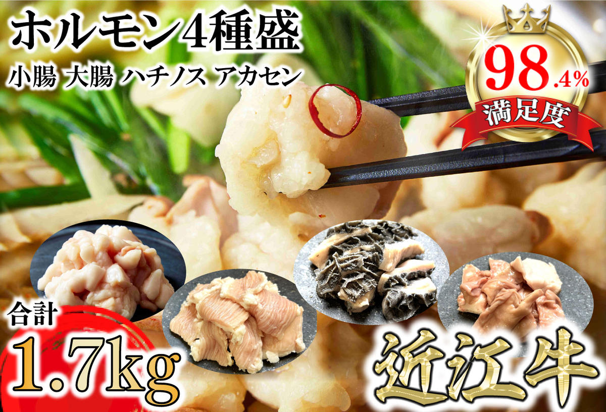 希少近江牛ホルモン４種盛（小腸 大腸 ハチノス アカセン）計1.7kg【FO43W】
