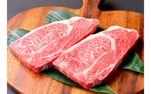 近江亭定期便【近江牛ステーキの会】全3回【AB104W】